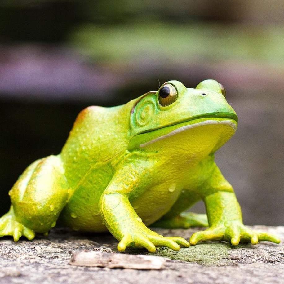 American Bullfrog Figurine by Safari Ltd Extra Large Woodland Collection Incredible Creatures Animal Figurines 3yrs+