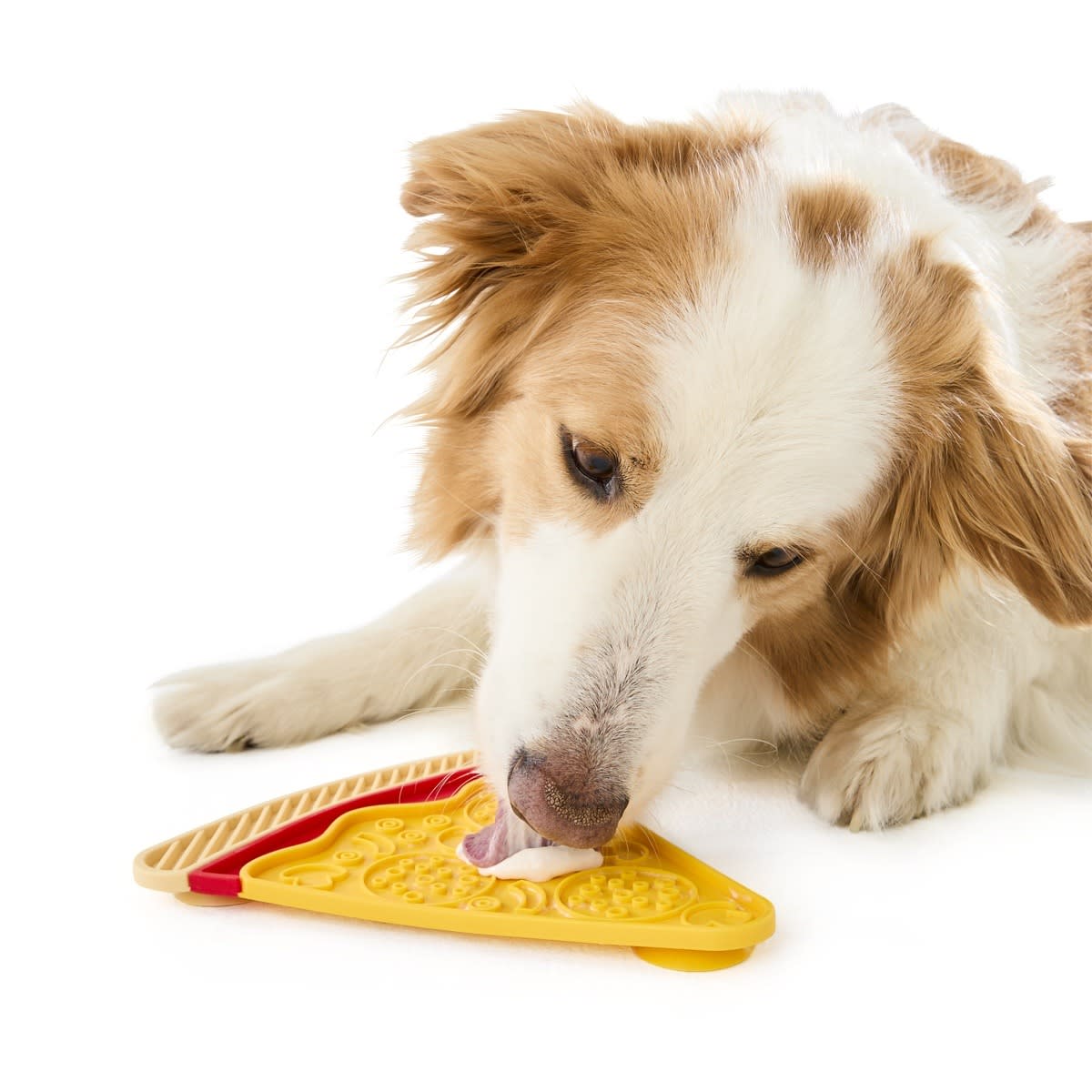 Novelty Pet Lick Mat - Assorted