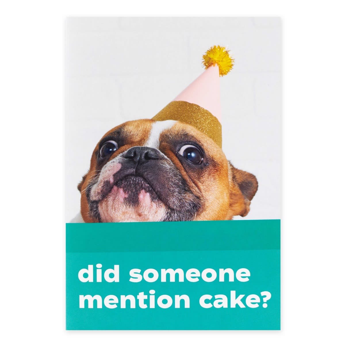 Creative Publishing from Hallmark Card - Funny Dog