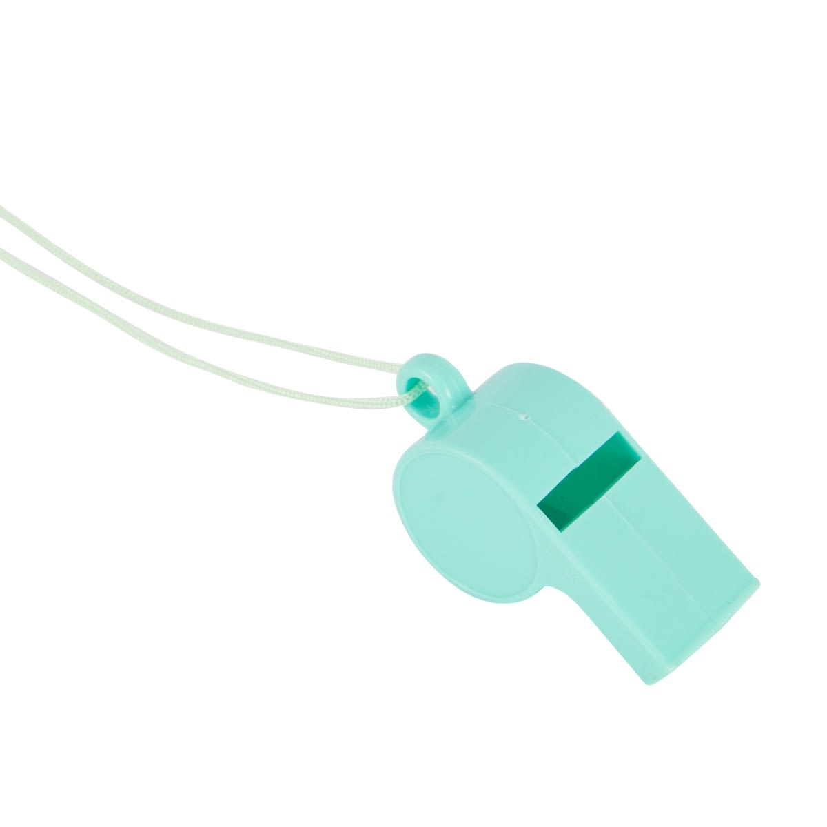 4 Piece Whistle Favours