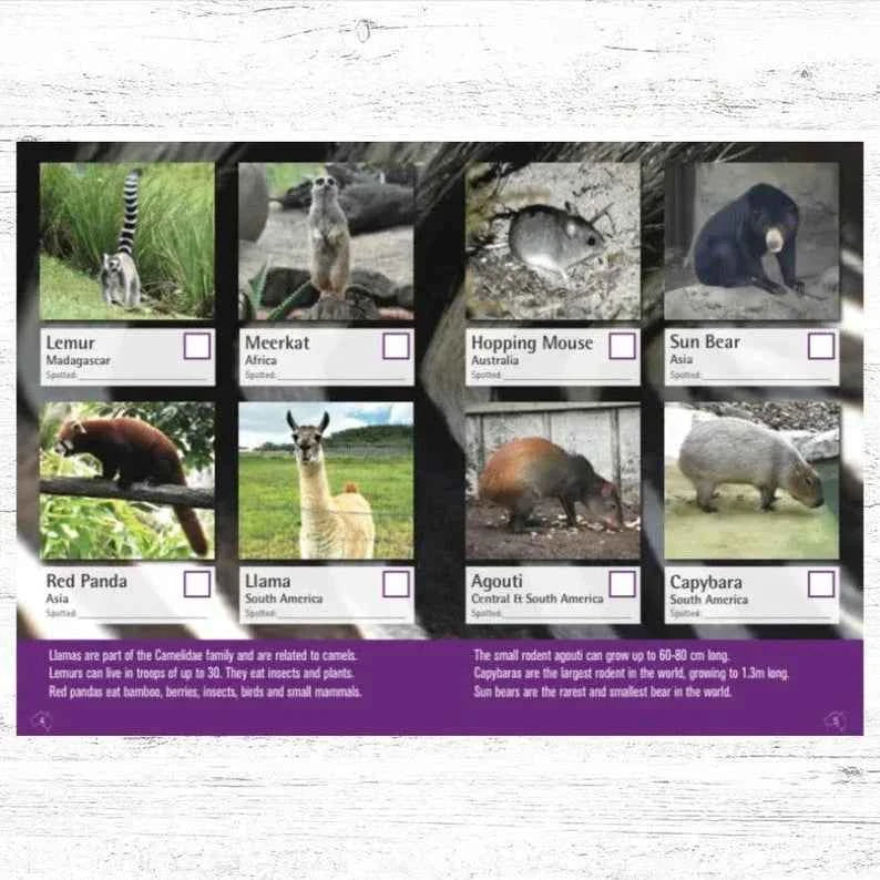 I Spy Zoo Edition Activity Book by Spotto Books (Paperback) Travel Book Clearance 2yrs+