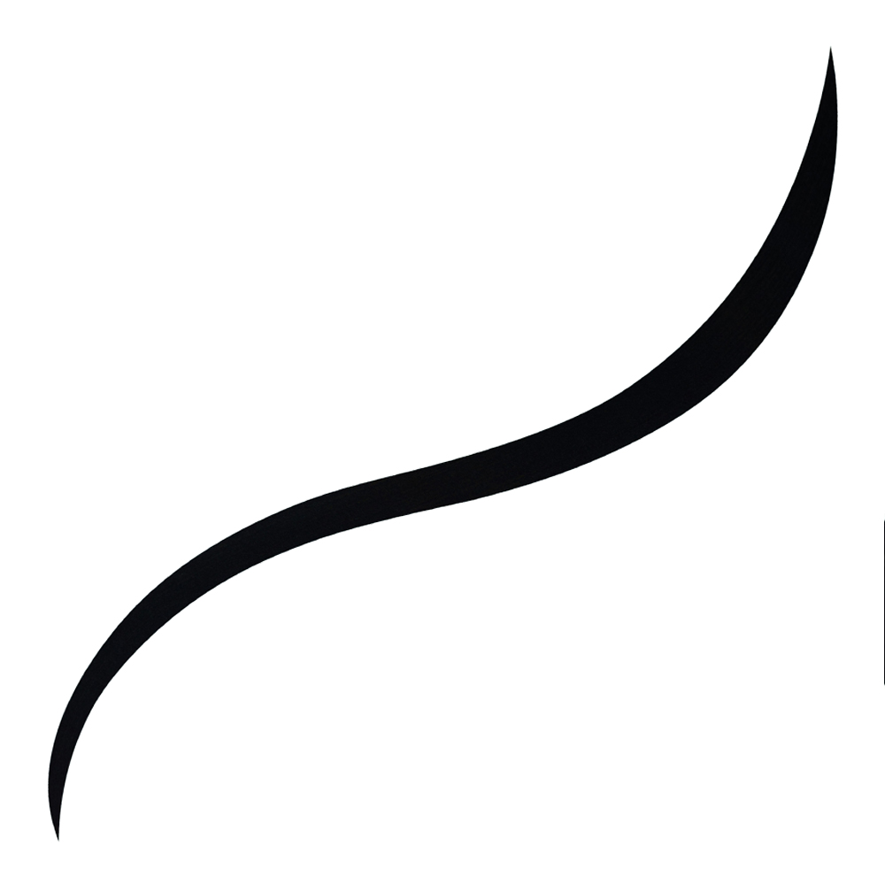 Roller Liner Black Liquid Eyeliner - Full Size (1ml)