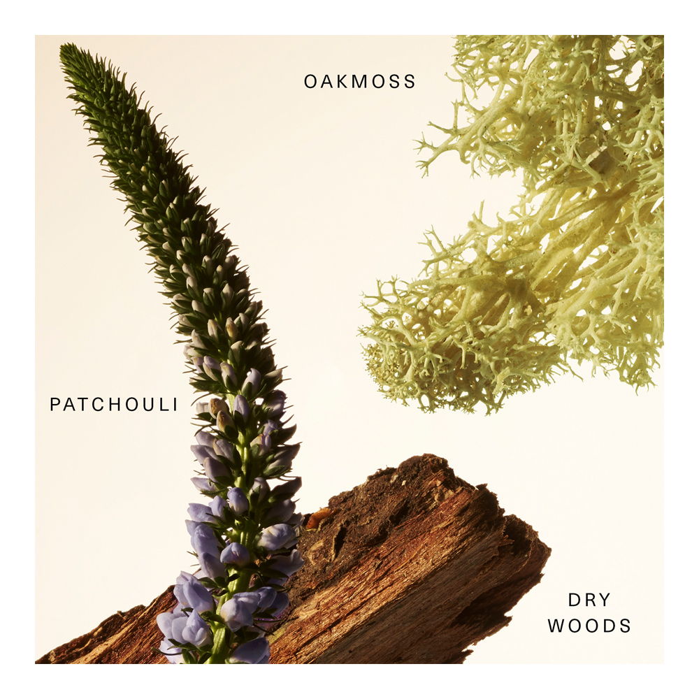 Woody Oak Rare Fragrance Layering Balm - 20ml