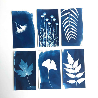 Sun Printing Paper Art and craft for kids Best Seller 4yrs+