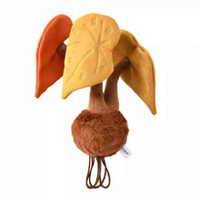 Plushwood Begonia Autumn Ember Plant Plush