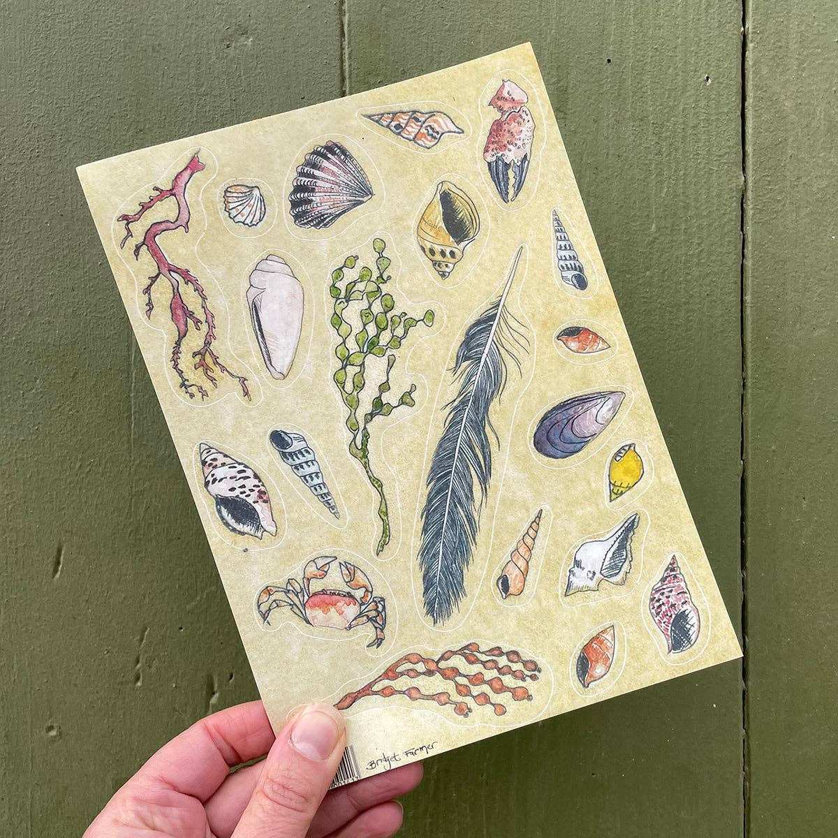 Bridget Farmer Printmaker Australian Beach Sticker Sheet A5 Art and craft for kids Retired