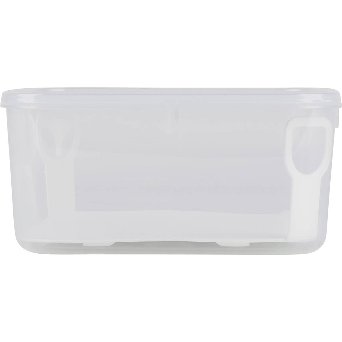 Decor Tellfresh Cake Container With Lifter 6L