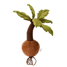 Plushwood Cocos nucifera L. Plant Plush