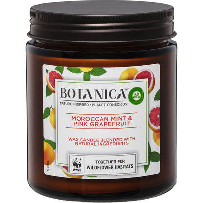 Botanica Candle Moroccan Mint & Pink Grapefruit 205g