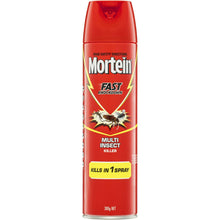 Mortein Fast Knockdown Multi-Insect Spray 300g
