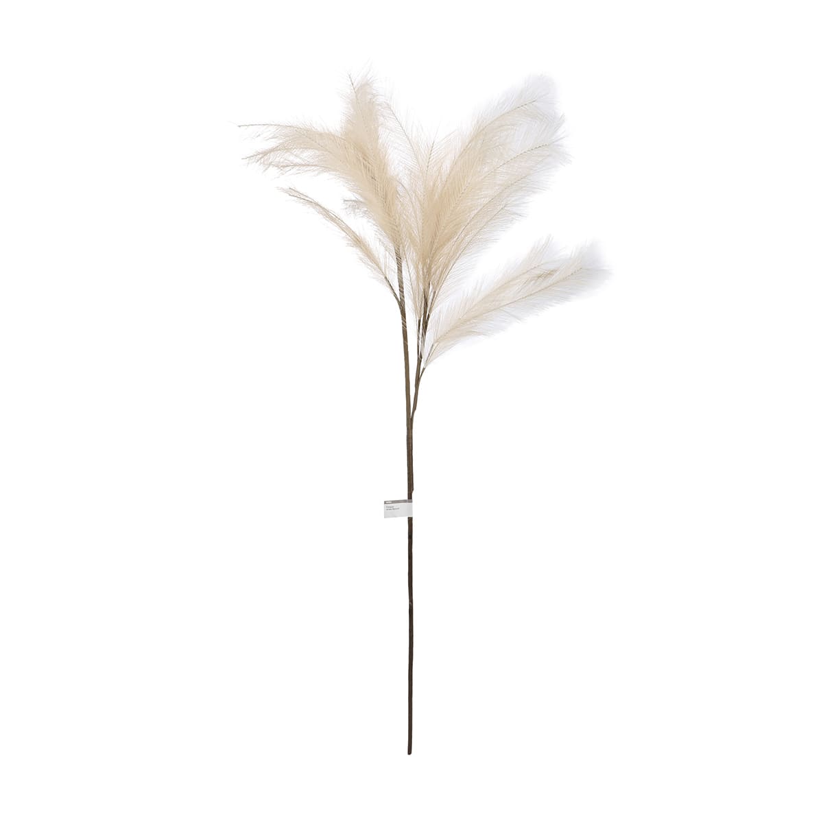 Artificial Pampas Grass Natural