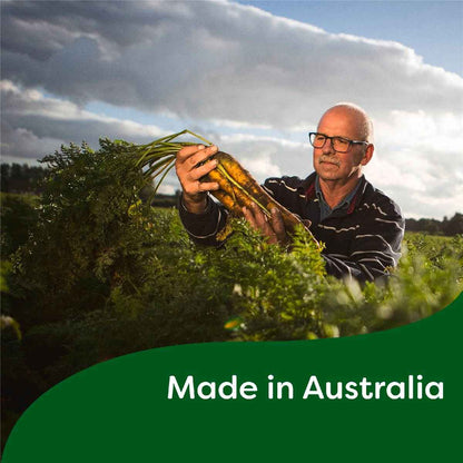 Continental Classics Simmer Soup Chicken Noodle Salt Reduced 40g