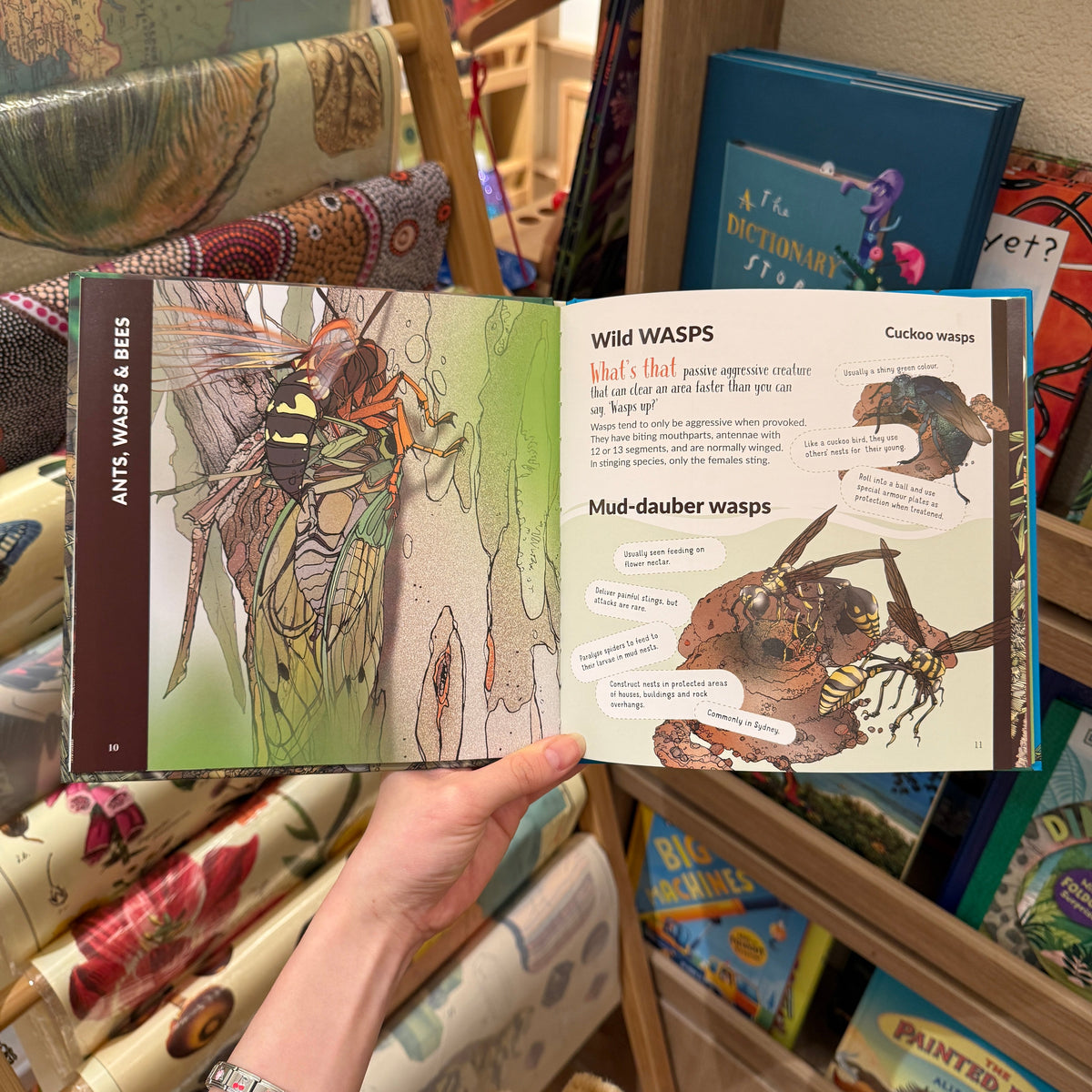 What's That? Australian Insects (Hardcover) by Myke Mollard Kids Book