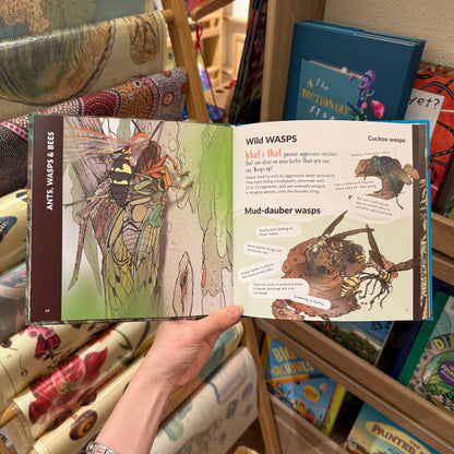 What's That? Australian Insects (Hardcover) by Myke Mollard Kids Book