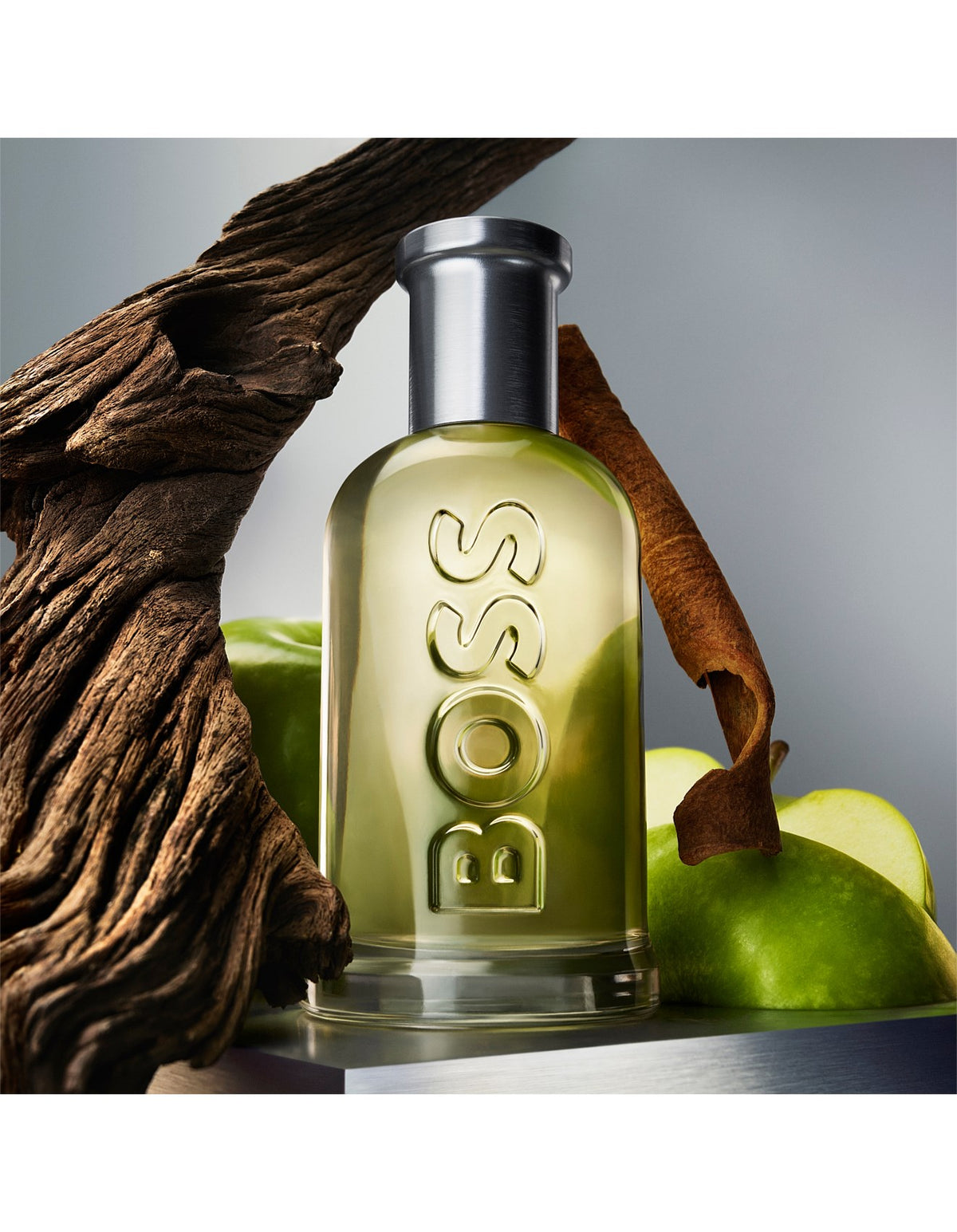 BOSS Bottled Eau de Toilette 100ml