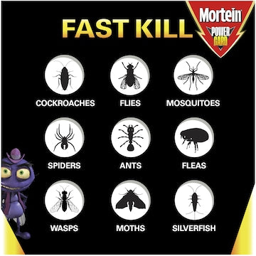 Mortein Powergard All-In-One Multi-insect Killer Eucalyptus 300g