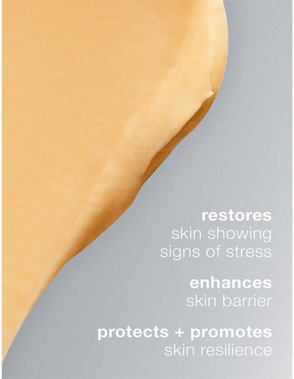 Multivitamin Power Recovery Masque 75ml
