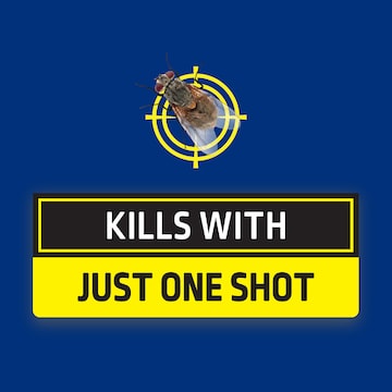 Raid One Shot Flying Insect Killer Spray Odourless 320g