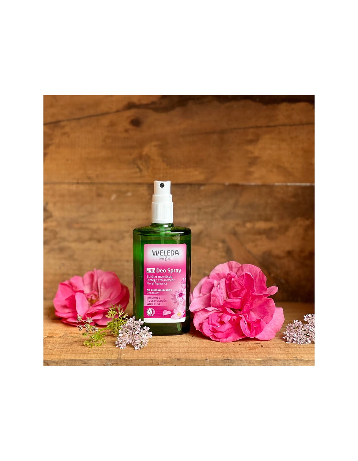Wild Rose Deodorant