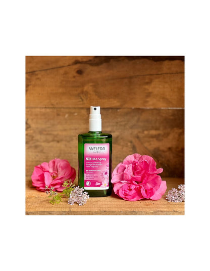 Wild Rose Deodorant