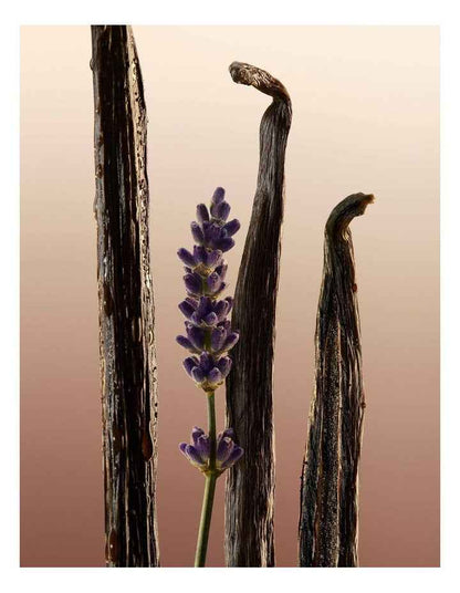 Eau de Parfum Pen Spray 10ml