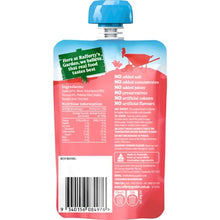 Rafferty's Garden Baby Food Pouch Summer Fruits & Quinoa 6+ Months 120g