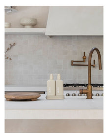 Handwash & Dishwashing Liquid Premium Kitchen Duo