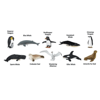 Tube of 10 Antarctica Animal Figurines Montessori Language Learning Figurines by Safari Ltd Toob Range Ocean Toys 3yrs+