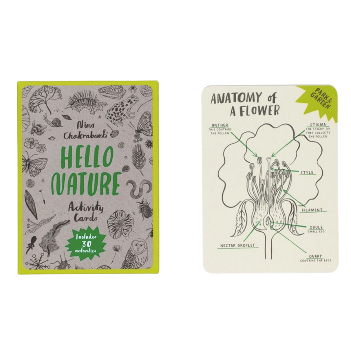 Hello Nature Activity Cards Gifting Idea for 8yrs+