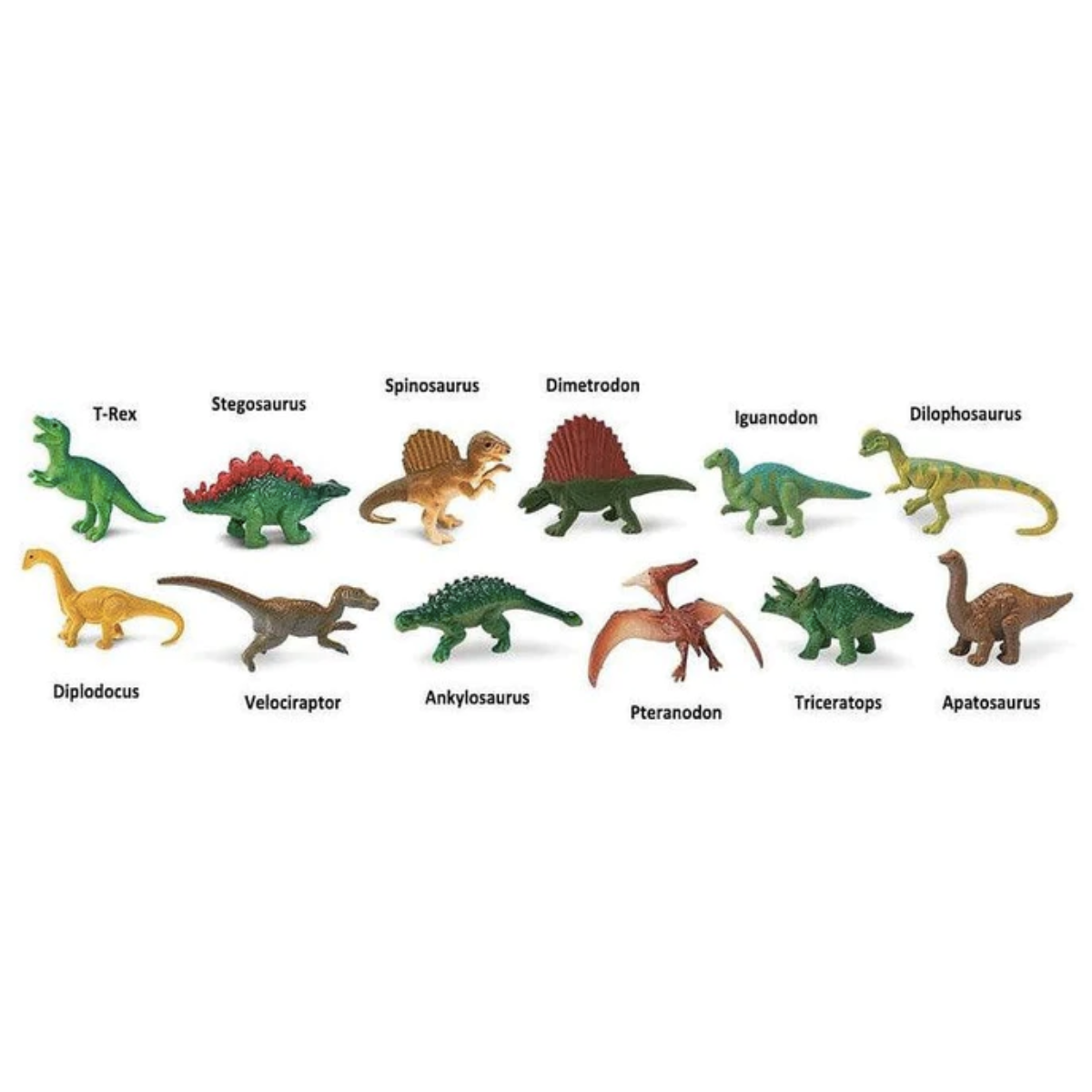 Tube of 12 Dinosaur Animal Figurines Montessori Language Learning Figurines by Safari Ltd Toob Range Dinosaur toys Dinosaur and Dragon Theme 3yrs+