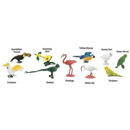 Tube of 11 Exotic Birds Montessori Language Learning Figurines by Safari Ltd Toob Range Discontinued 3yrs+