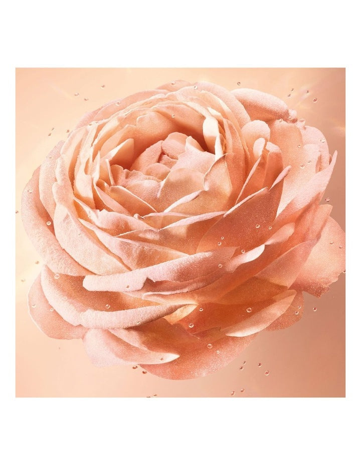 Absolue Loose Powder