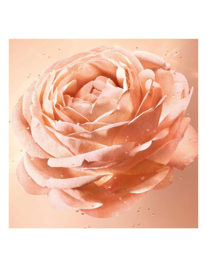 Absolue Loose Powder