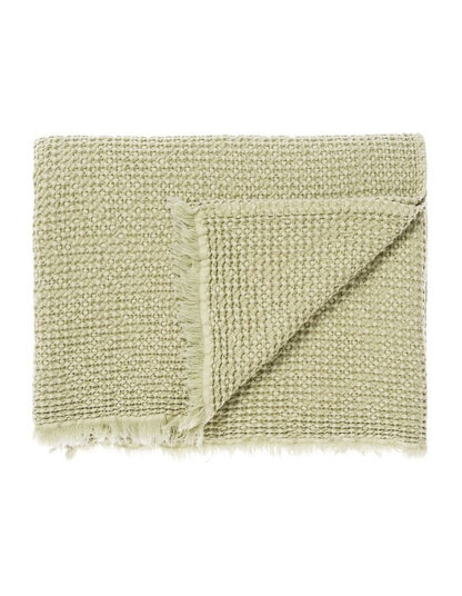 Saltwater Throw in Gumtree