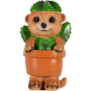 Mirabella Mini Meerkat Violet The Cactus Cactus each