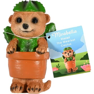 Mirabella Mini Meerkat Violet The Cactus Cactus each