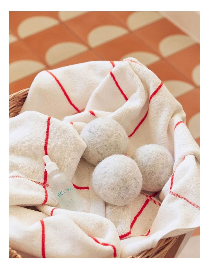 Wild Sage & Citrus Laundry Dryer Ball Set