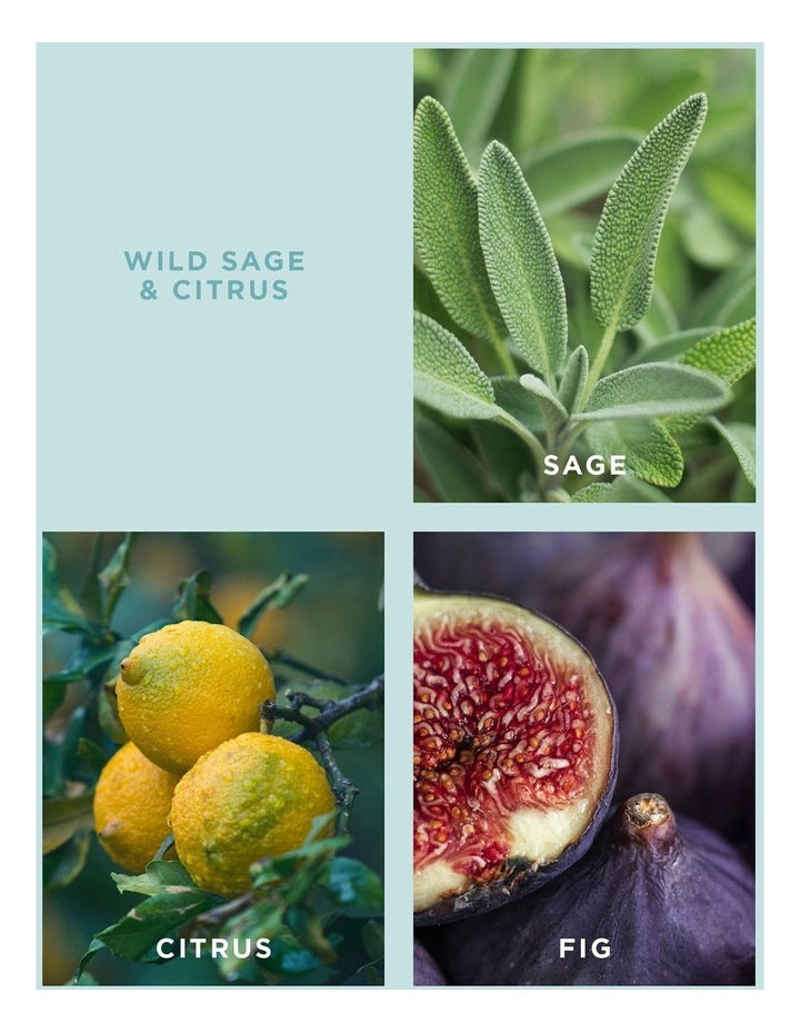 Wild Sage & Citrus Laundry Dryer Ball Set
