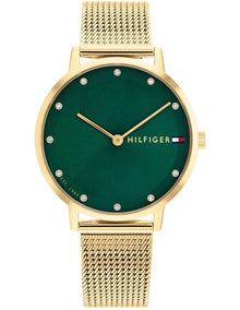 Pippa Stainless Steel Watch in Green