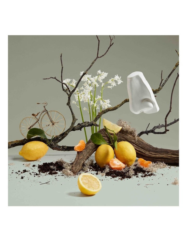 Quercus Body And Hand Wash 500ml