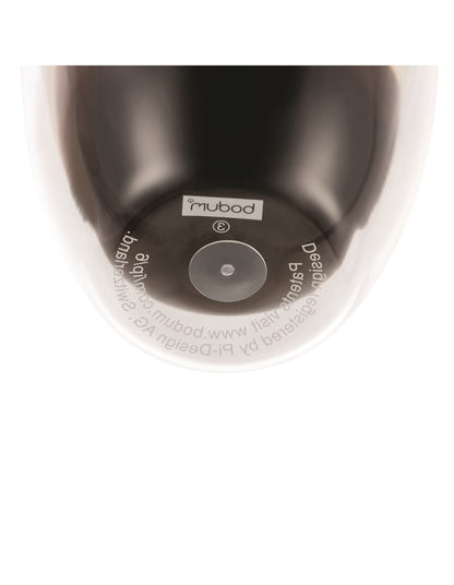 Pavina Double Wall Glasses 350ml Set Of 2