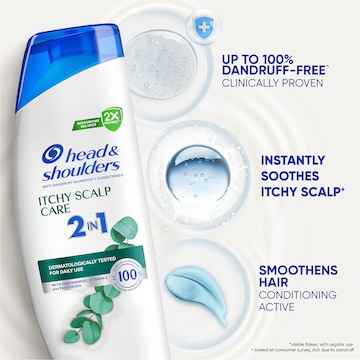 Head & Shoulders Itchy Scalp 2 In 1 Anti Dandruff Shampoo & Conditioner 350mL