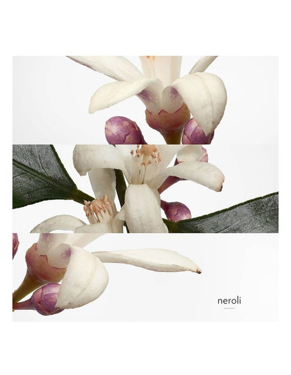 Eau De N&#233;roli Dor&#233; Eau de Cologne 100ml