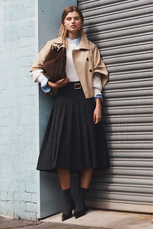 Pleated Skirt