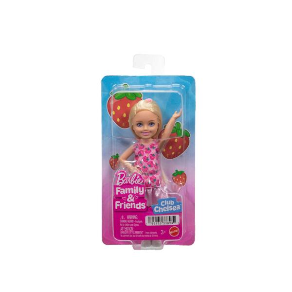 BARBIE CHELSEA & FRIENDS