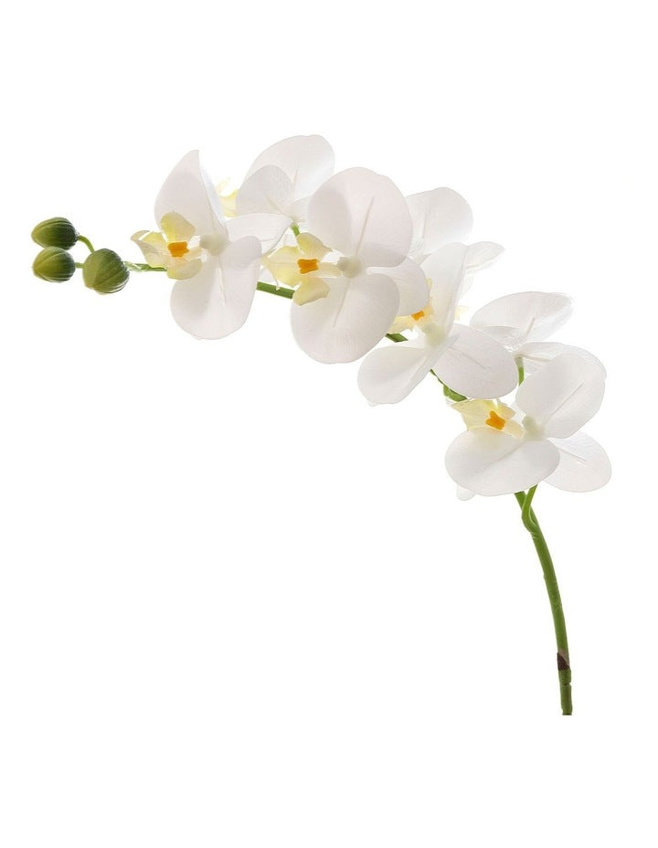 Orchid Phalaenopsis Real Touch Flowers 75cm in White