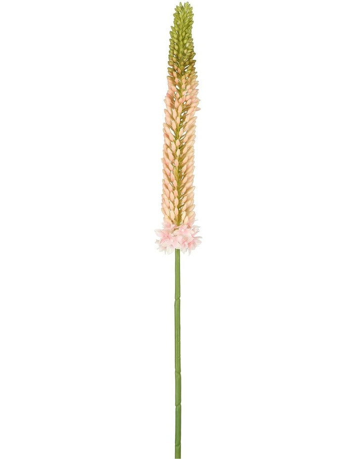 Fox Tail Stem 84cm in Pink