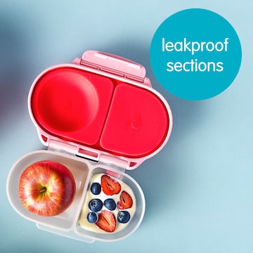 B.Box Snack Lunch Box Assorted each