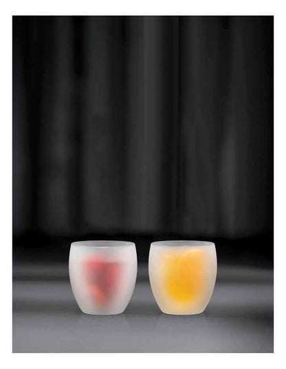 Pavina Double Wall Glass With Silicone Covering Set of 2