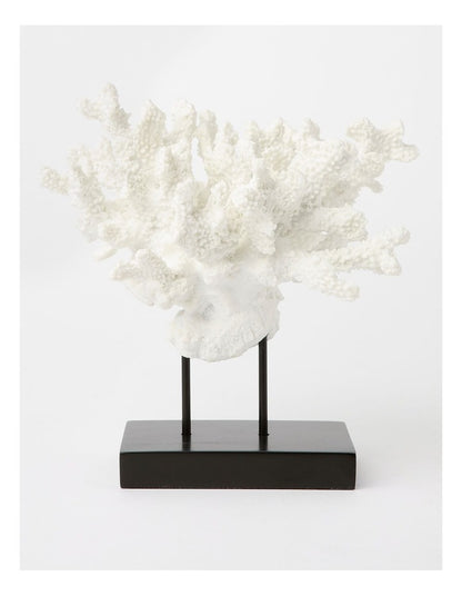 Atolle Coral Sculpture Small 21cm in White